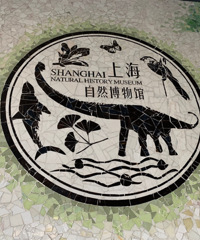 ���޳����Ŀ������� �浽����ؼ�