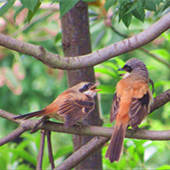 һ�����ݶ���