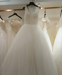 �������ֲ��Ƽ�����ɴ ��� ���Ʒ�3��ֻ����1600��