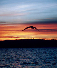 90���Ϻ������� �з��г� ������ ϲ������ ϣ���߽�������