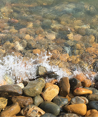 ��Ϧ�������Ƽ������Ϲ�