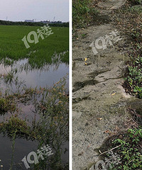 ������ϻ�Ϊ��Ӱ���������İ�Ķũ�ﱻ��