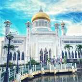 24k�ƽ��ݶ� ̫������