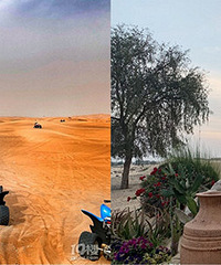 ����С����ڵϰݳ�ɳ����Ƥ��