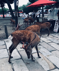 ������ò������¹ ���ȷ��ˣ�