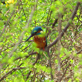 ��ħ��!������о���