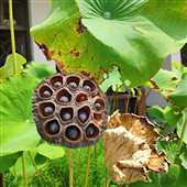 �����ִ��ֺóԣ�