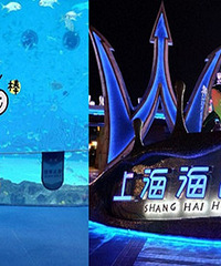 �򿨡�������ս������� �������ȷ��ˣ�