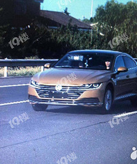 206�룡��κ���������ץ�ĵ�쭳�֮������Ȼû�г��ƣ�