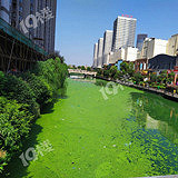 �����Ҽ������̵ĺ�