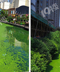 ����Ѭ�죡�������ڼ��˼������̵ĺ�