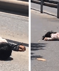 ������������س�����һ��һŮ���ز���