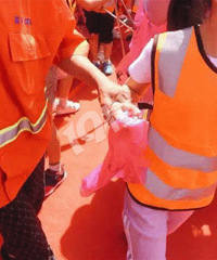 8.11СС����־Ը�ӣ�������֤��+�ľ����