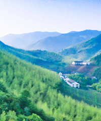 Ī��ɽ��ȫ����ֵ��ȥ�ĵط�֮һ