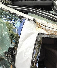 ����Ů˾��������ײ�������ϻ���Ӥ����