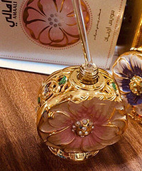 �ղذ����߱ر� �ϰ��㾫̫����