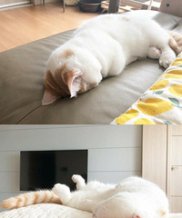 27�걾��GG ������๤�� �����˶���Ӱ �Ҹ��й�ͬ���Ե�