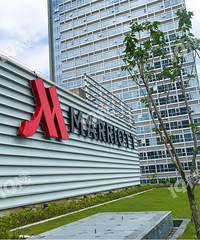 ��˵���������Ҫ���ˣ������������˸��߼��ľƵ�