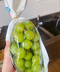 ��ʹ��������������Ҫ94��Ǯ��