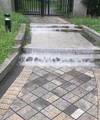 �ô���꣡����ĳС���Ѿ����͵ó����ٲ��ˣ�