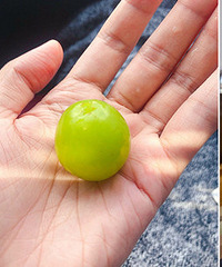 ����ˮ��̫���ˣ�һ������Ҫ94�飡 ��ʹ��...