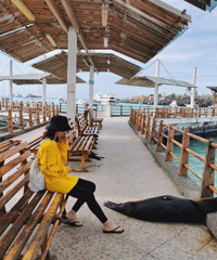 ���ɰ���С���ﻹ�к���ĸ�Ǳ��