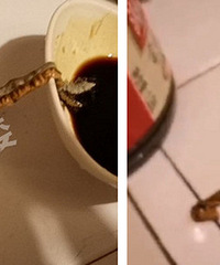 ���ģ�ĳ���������ﾪ�ֱ���򼻹���ĳ�