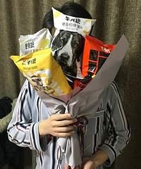 ���˽������ѵ���ʳ������