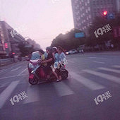 ��ƿ����������