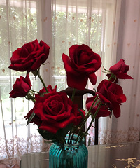 ��Ϧ����