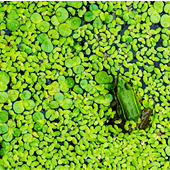 �ܼ��־����룡