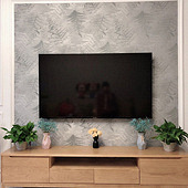 ���ӱ���ǽ����װ����