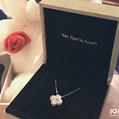 �Ϲ��͵�������Ҷ�ݣ�