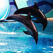 �������糬ǿ���Ը���