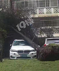 ���µ�̨�磡���˶��С�����꣡