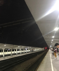 ���Ķ�ϰ����Ư��