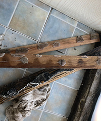 ���������̼��ˣ����˺��Ĺ��̻�������������...