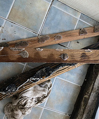 �����̼ң����˺��Ĺ��̻�������������...