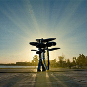 ���ص��������