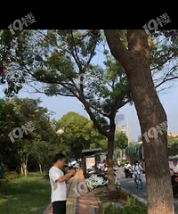 ���ң��������·һ��ƿ��Ů�ӱ������ͳ���ͷ��Ѫ��ģ��