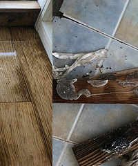 ���������̼� ���˺��Ĺ��̻�������������...