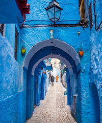 �ۺ�����ǰʮ��ѧ��ҵ ���˱����� �з��г� ������45w+