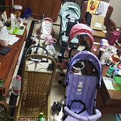 ��֪��������һ�ѳ���