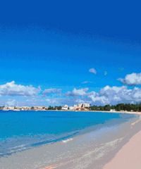 ���ȥ�Ķ����������������μ�