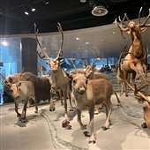 ÷��¹�걾̫�����ˣ�