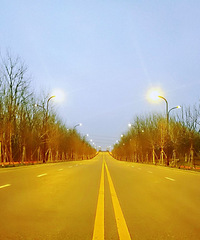 С����о���ѧ�� ����ѧλ ���ְҵ�ʸ�֤ �����ڹ���