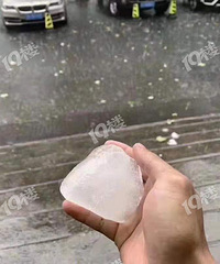 �����±����ˣ� ��籩�꿰��̨�磡��ͷ��С�ı���������ҵ���