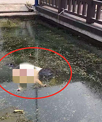 �Źţ����˺��ﾪ��һ��һС���߸�ʬ��