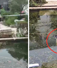 �Źţ����˺��ﾪ��һ��һС���߸�ʬ