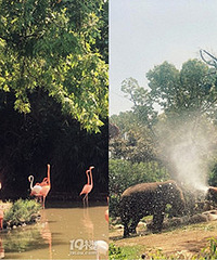 �Լݶ���԰ ����������������ȵ�ֱ��ˮ